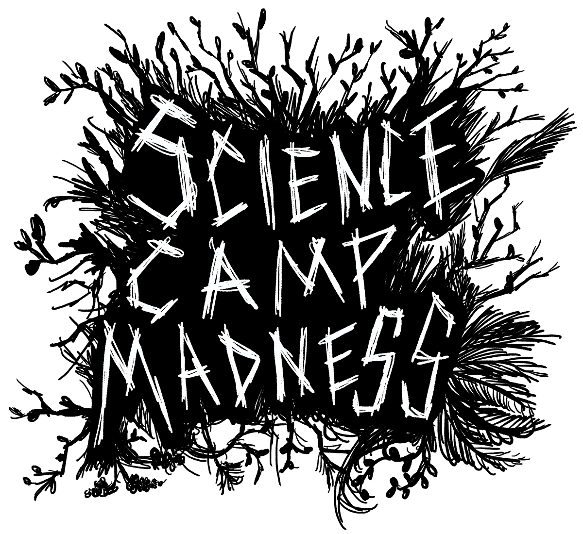 Science Camp Madness